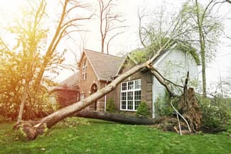 Uprooted tree landing on roof of home due to high winds
