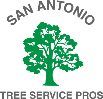 San Antonio Tree Service Pros