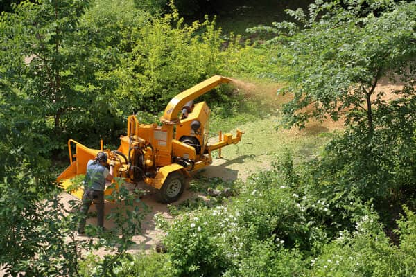 Wood chipping service used for mulching